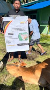 Menilik Syiar Qurban di Bumi Sikerei: KUA Siberut Utara Sajikan Data Transparan Idul Adha 1447 H
